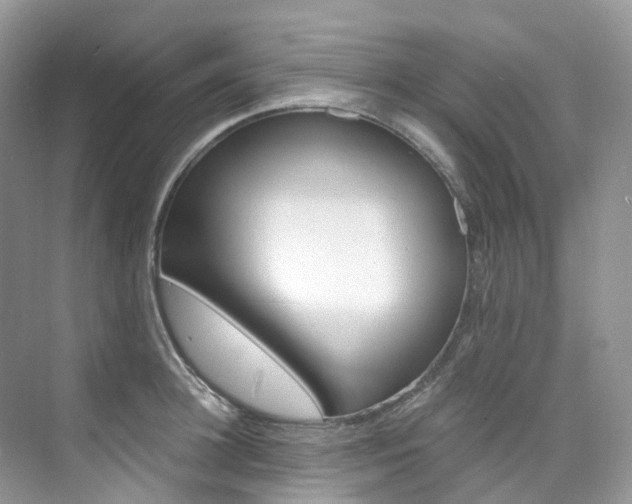X0000076230948200609280944