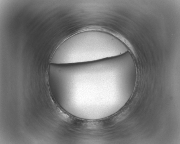 X0000076230953200609280944