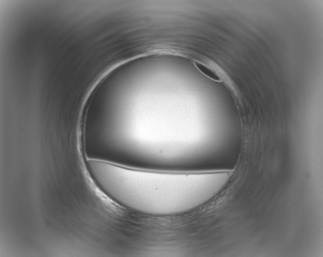 X0000076230955200609280944