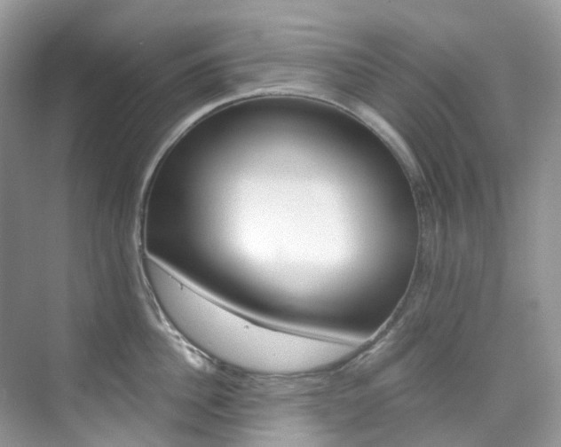 X0000076230956200609280944