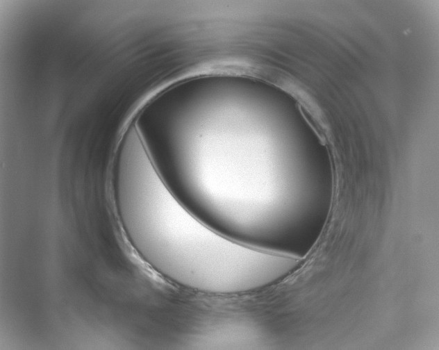 X0000076230960200609280944