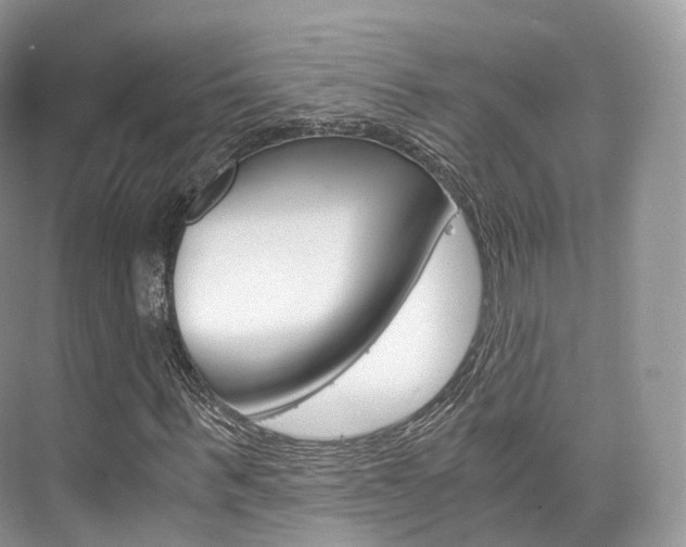X0000076230963200609280943
