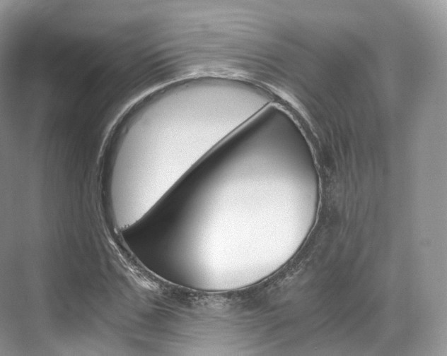 X0000076230971200609280943
