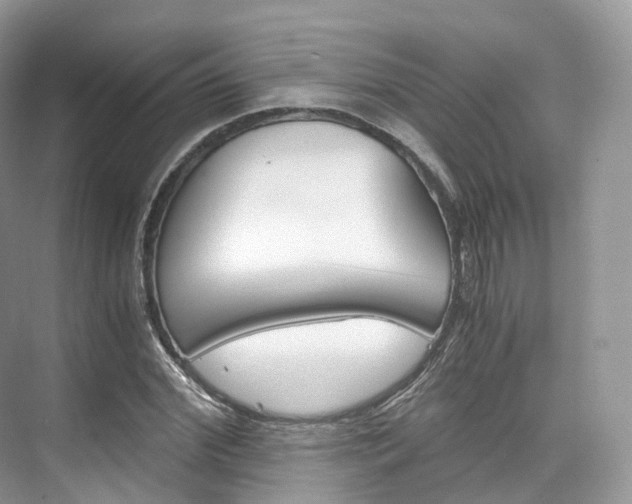 X0000076230972200609280943