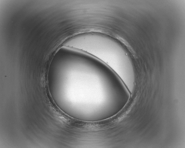 X0000076230977200609280943