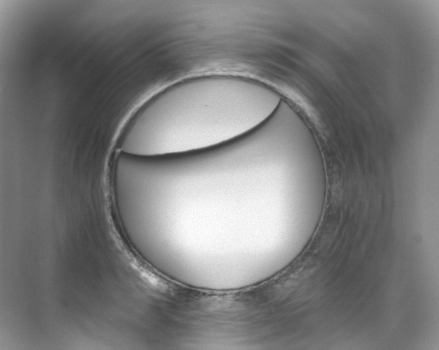 X0000076230990200609280943