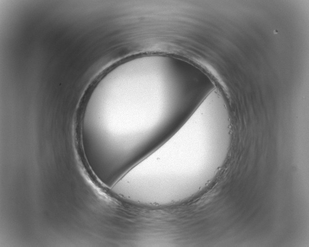 X0000076230991200609280943