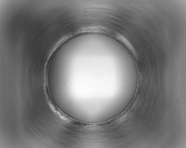 X0000076230994200609280942