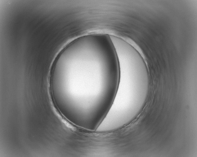 X0000076231005200609280942
