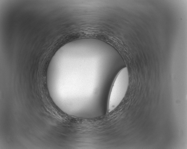 X0000076231009200609280941