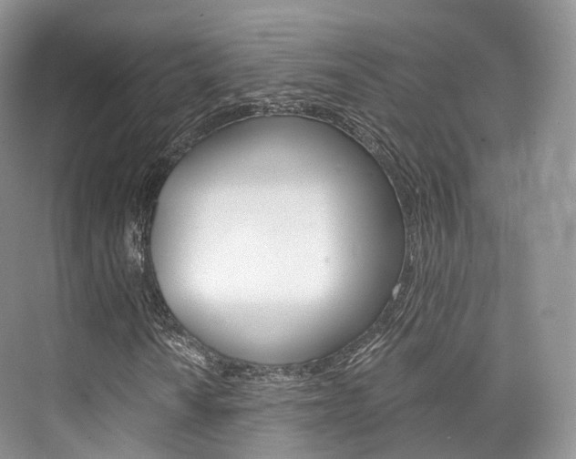 X0000076231010200609280941