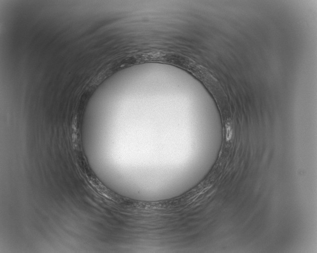 X0000076231011200609280941