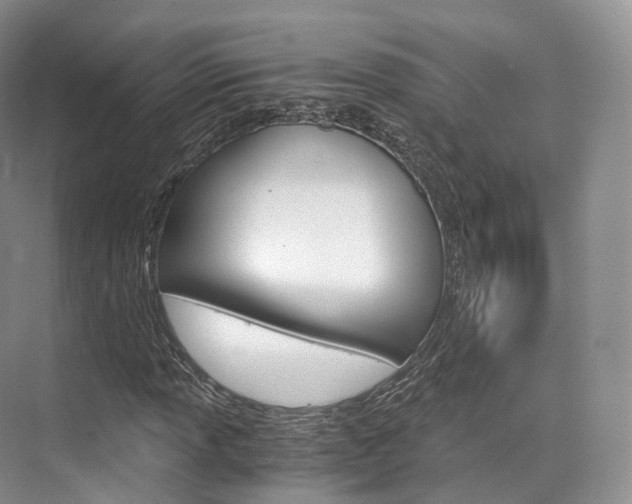 X0000076231013200609280942