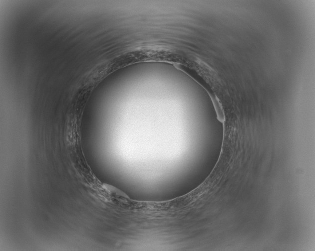 X0000076231014200609280942