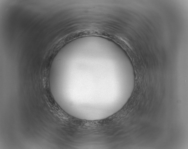 X0000076231015200609280942