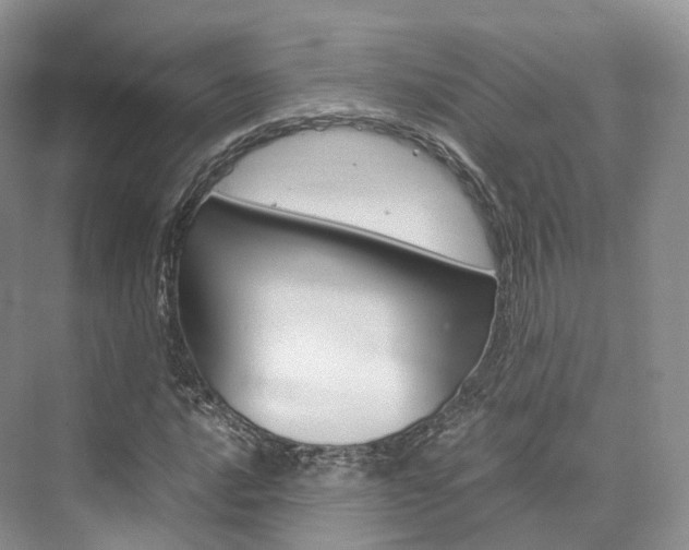 X0000076231016200609280942