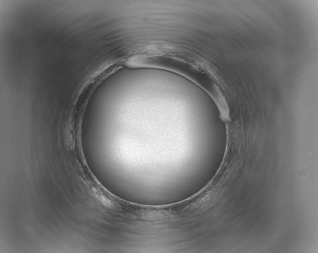 X0000076231018200609280942