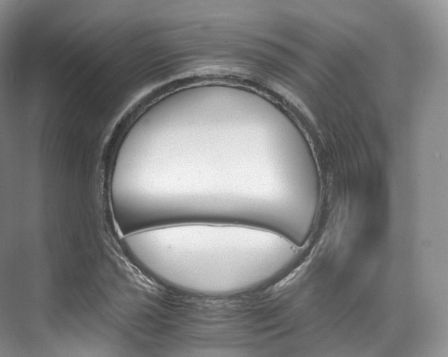 X0000076231021200609280942