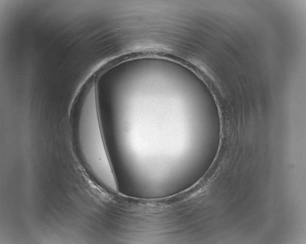 X0000076231022200609280942