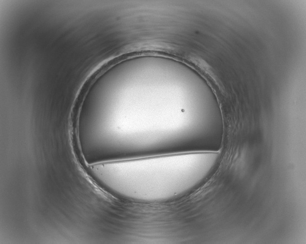 X0000076231024200609280942