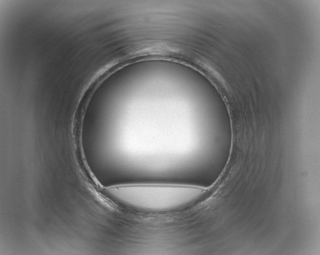 X0000076231026200609280942