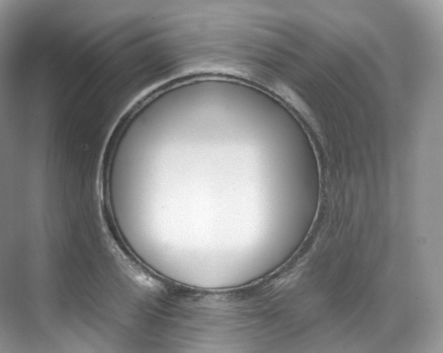 X0000076231028200609280942