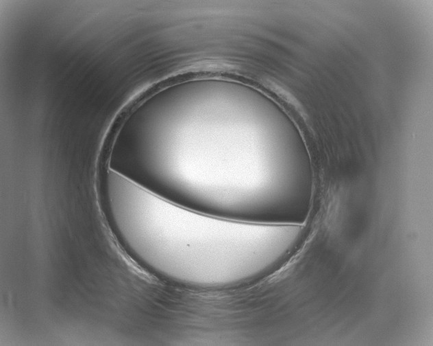 X0000076231029200609280942