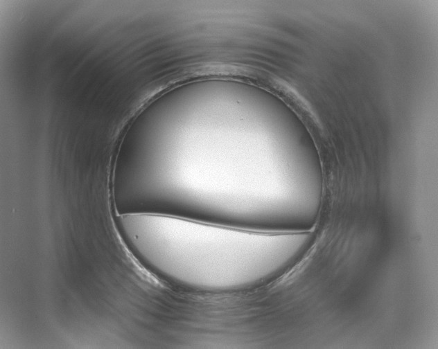 X0000076231033200609280942