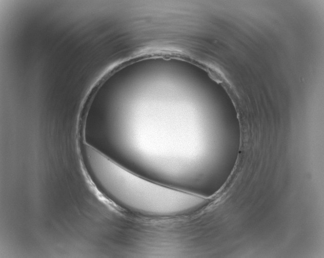 X0000076231038200609280942