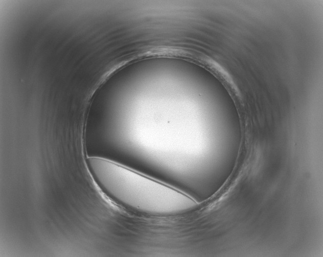 X0000076231041200609280942