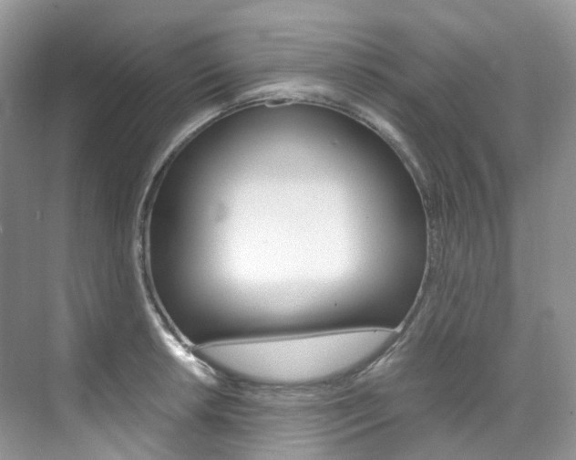 X0000076231042200609280942