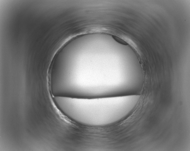 X0000076231047200609280942