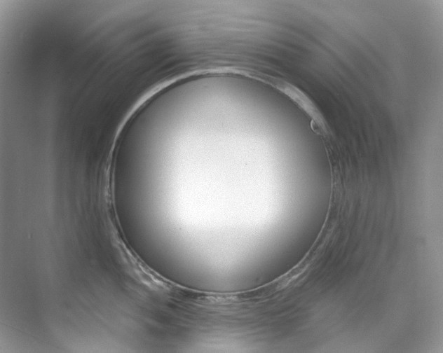 X0000076231052200609280942
