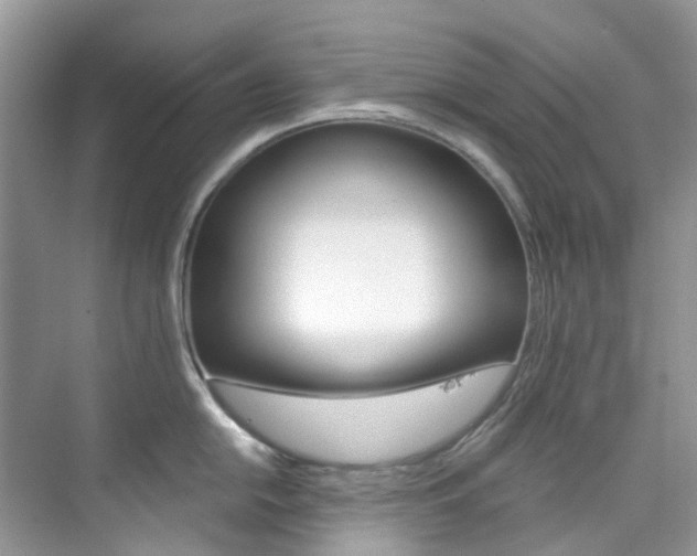 X0000076231054200609280942