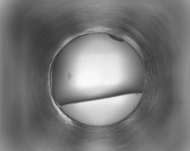X0000076231055200609280942