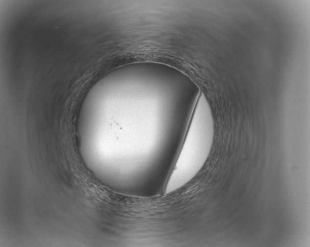 X0000076231057200609280941