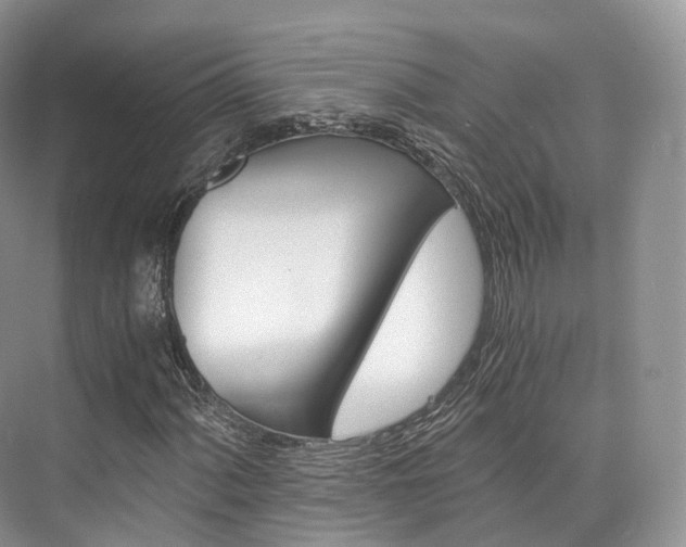 X0000076231060200609280941