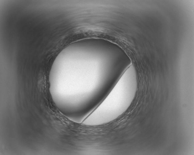 X0000076231061200609280941