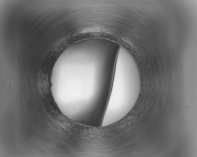X0000076231062200609280941