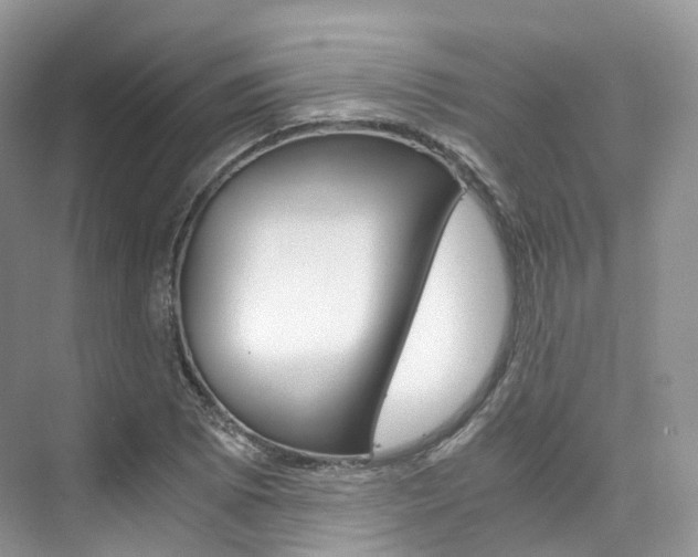 X0000076231073200609280941