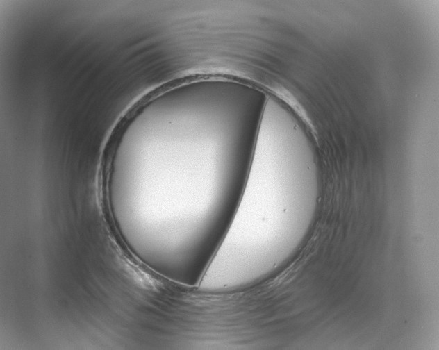 X0000076231076200609280941