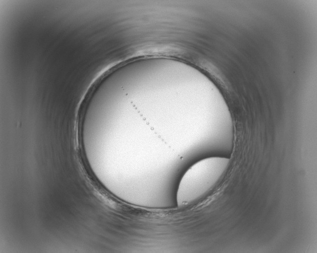 X0000076231079200609280941