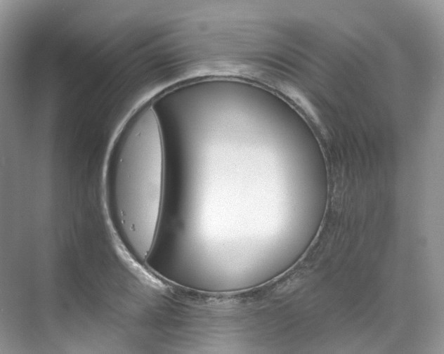 X0000076231080200609280941