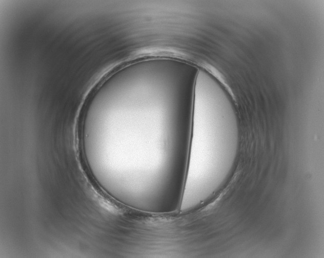 X0000076231082200609280941