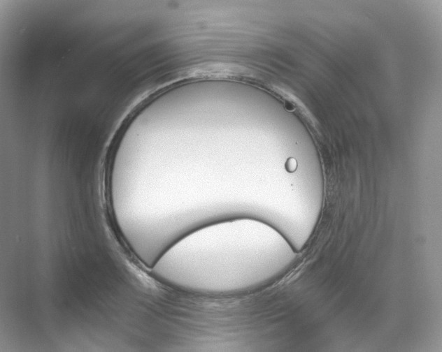 X0000076231083200609280941