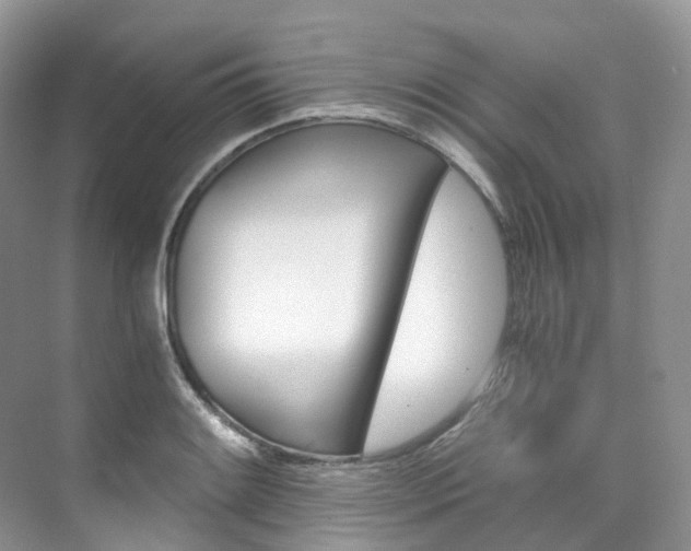 X0000076231084200609280941