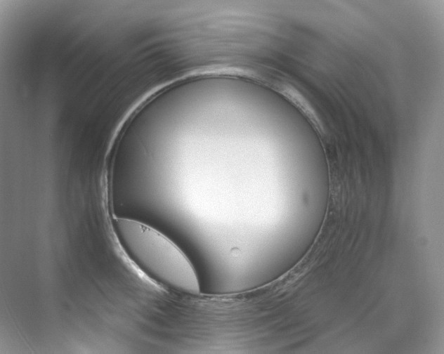 X0000076231092200609280941
