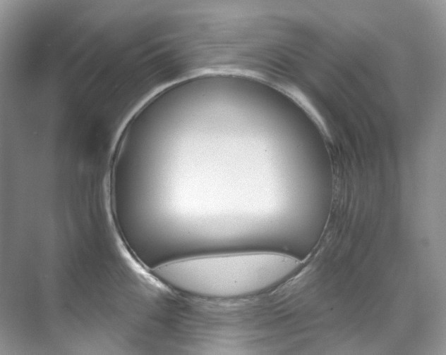 X0000076231100200609280941