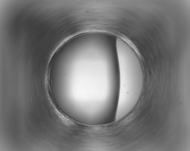 X0000076231101200609280941