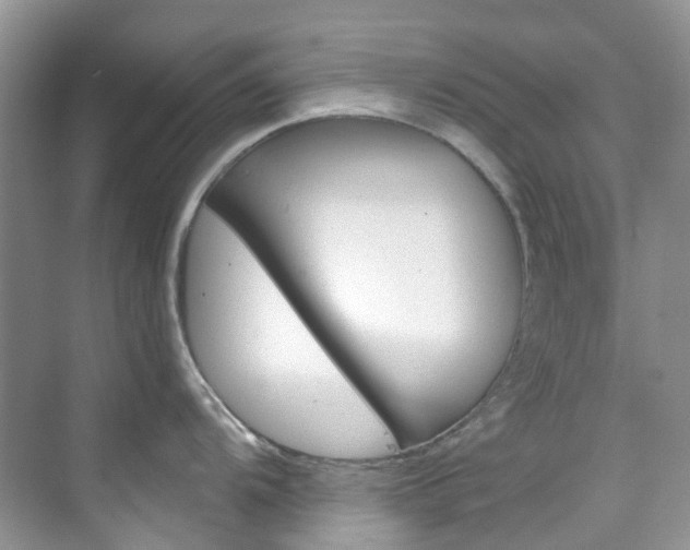 X0000076231104200609280941
